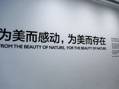 -罗红摄影艺术馆