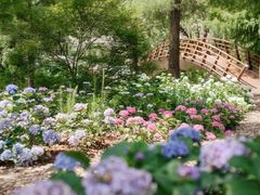 -上海辰山植物园