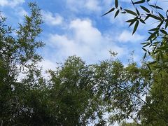 -新虹桥中心花园