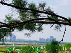 -渭河城市绿地运动公园