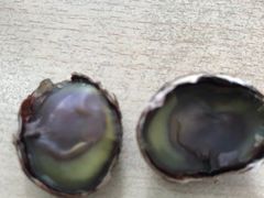 -陈记栗子(长宁路店)