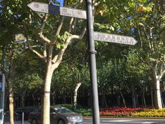 -上海德威外籍人员子女学校(浦东校区)