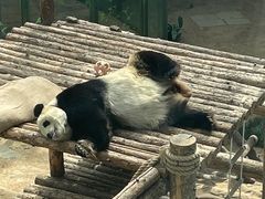 -大连森林动物园