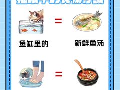 -翊宠yipet猫狗购宠庄园犬舍•猫舍