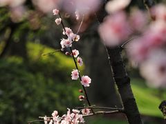 -静安雕塑公园
