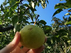 -北镇龙岗子生态园