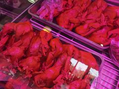 -春和發特色蒸饺(浐河西路店)