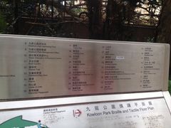 -九龙公园