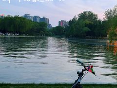 -朝阳公园