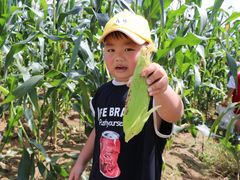 -北戴河集发农业梦想王国