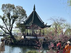 -无锡蠡湖国家湿地公园-蠡园