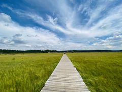 -塞罕坝国家级自然保护区