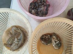 -庆余生平价生猛海鲜(海棠湾林旺夜市店)