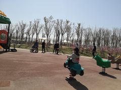 -天津东丽湖风景区