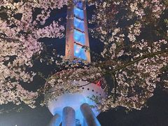 -东方明珠广播电视塔