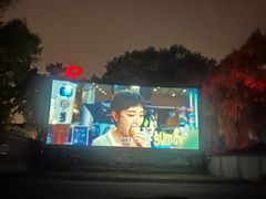 -枫花园汽车电影院(朝阳公园店)