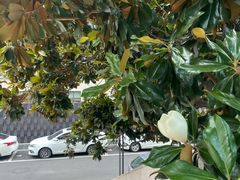 -南京市规划建设展览馆