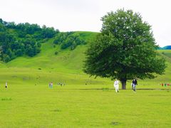-新疆那拉提国家旅游度假区