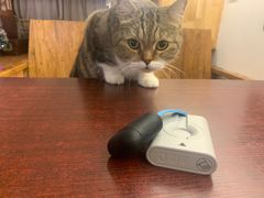 -喵园·猫主题咖啡厅·撸猫·猫咖(国贸店)