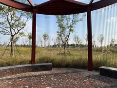 -春花秋色城市公园