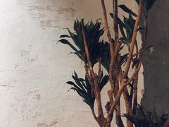 -春庄咖啡SpringHues(钟楼小区店)