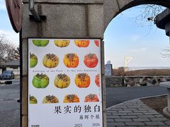 -辰熙ACX星海艺术中心