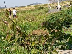 -光明小镇欢乐田园