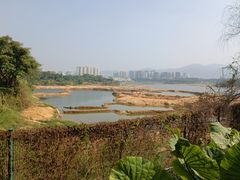 -立新湖公园