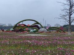 -海珠湖公园