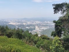 -黄埔油麻山森林公园