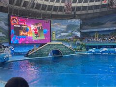 -海合安成都极地海洋公园