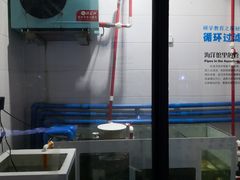 -洛阳龙门海洋馆