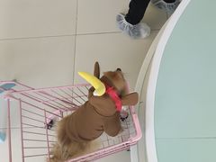 -怪兽屋·羊驼·猫咖·狗咖(俊华广场店)