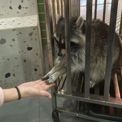 -Moni星球萌宠·小马宝莉·灵蛇·高端高阶全萌宠互动体验俱乐部(红豆国际广场店)
