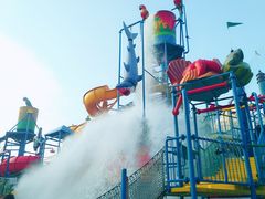 -苏州乐园森林水世界