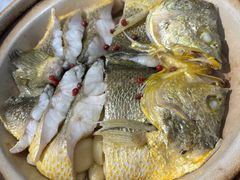 砂锅焗黄花鱼-1937青岛老味道·海肠捞饭·青岛菜(大鲍岛栈桥店)