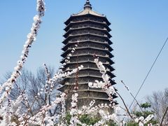 -玲珑塔公园