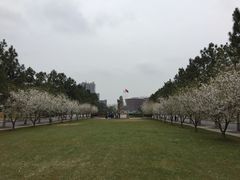 -同济大学(嘉定校区)