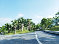 -宝安西湾红树林湿地公园