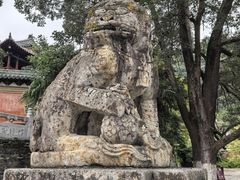 -报恩寺(平武县)