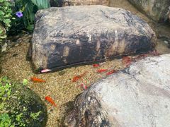 -中山市绿华园食府