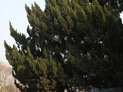 -南通博物苑-崇川人民公园