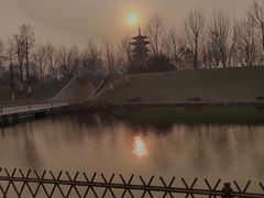 -洋湖国家湿地公园