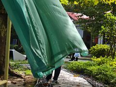 -庐山风景区花径公园