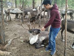 -北极村旅游风景区