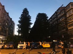 -南湖公园地摊集市