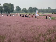 -汉长安城未央宫国家考古遗址公园