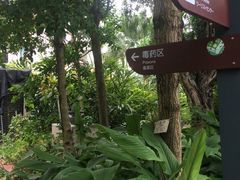 -广州神农草堂中医药博物馆