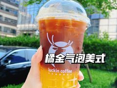 -瑞幸咖啡(艺树家工场店)