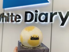 -白色日记·手作酸奶(麦凯乐店)